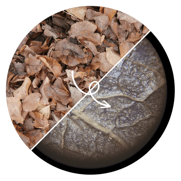Feature product image