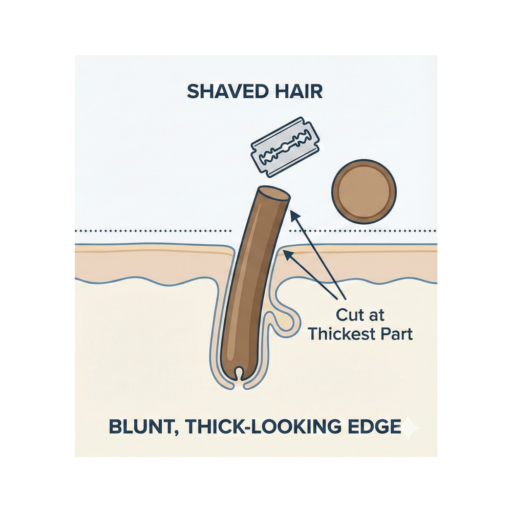 1. Shaving Makes Hair Appear Darker and Grow Back Faster (Here’s Why)