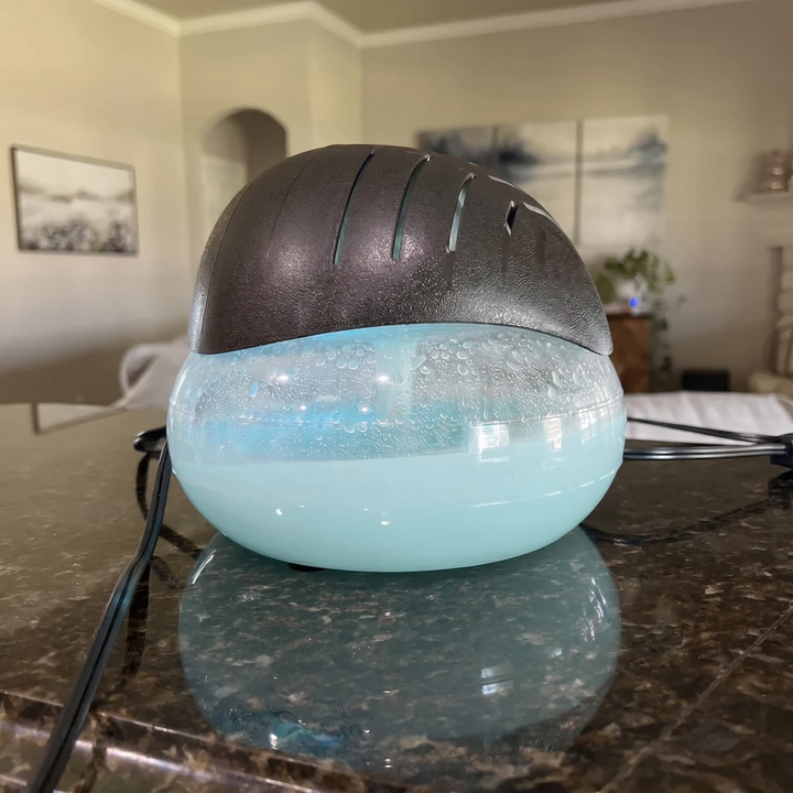 Review by Ally S