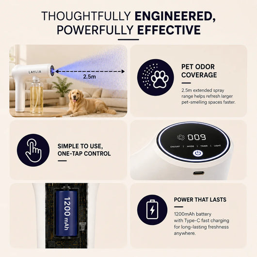 Nano Blue Light Deodorizer Gun